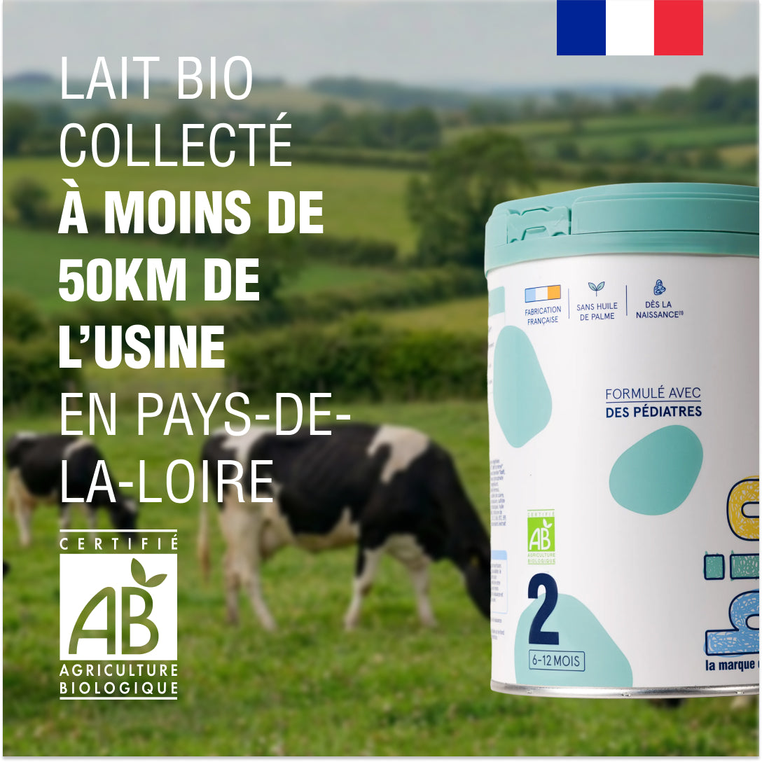 Carton de 6 boîtes Lait Infantile Bio Age 3